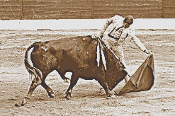 Photographie du torero Luis Miguel Encabo, à Vic le 15 mai 2002, devant un toro de Prieto de la Cal auquel il coupa une oreille.