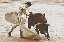 Photographie du torero José Tomás, à Séville, le 13 avril 2002, devant un toro de Garcigrande.