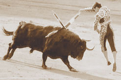 Photographie du torero El Fandi à Séville le 30 avril 2004 devant un toro de Gavira.