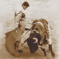 Photographie de Sébastien Castella à Dax, le 14 août 2006, devant un taureau de Victoriano del Río.